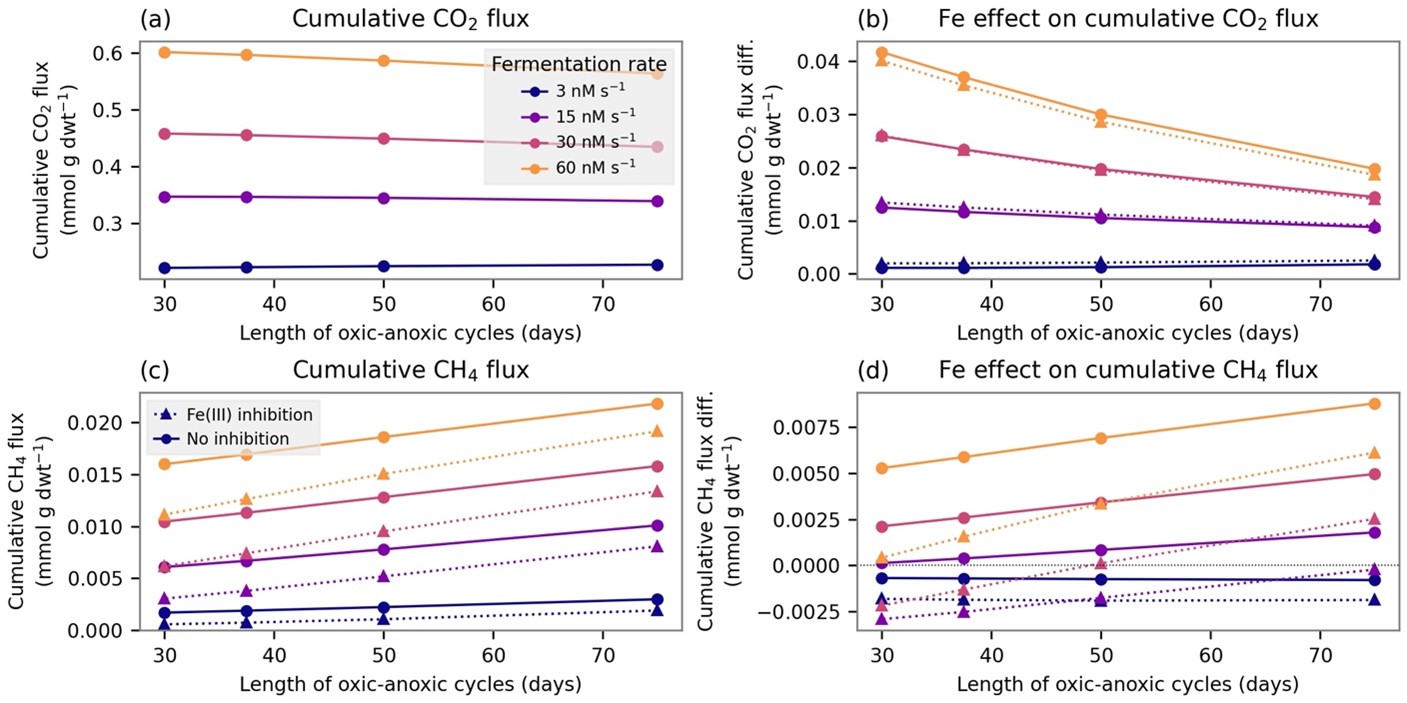 Integrated CO2 and CH4 fluxes and the difference in cumulative fluxes between simulations with and without Fe redox reactions over a 150-day period