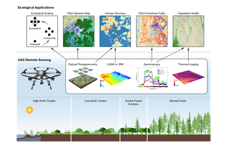 (bottom) Illustration of Arctic biomes, (middle) UAS remote sensing technologies, and (top) the key applications of UAS remote sensing for plant research.