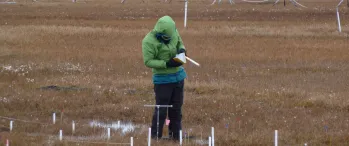 a person standing in a field with a journal