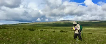 Shrub survey at Kougarok field site