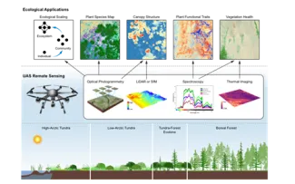 Drying of tundra landscapes will limit subsidence-induced acceleration of  permafrost thaw