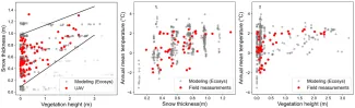 The relationships among vegetation height, snow thickness, and soil annual mean temperature at 0.5 m depth observed in the data and model runs