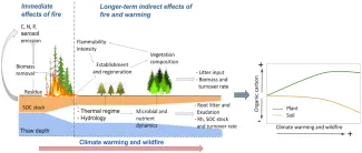 Visualization of the immediate direct and long-term indirect effects of wildfire interaction with warming on high-latitude soil carbon stocks. These effects include complex interactions among soil, plants, and the atmosphere that affect an ecosystem’s carbon balance.
