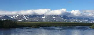 Drying of tundra landscapes will limit subsidence-induced acceleration of  permafrost thaw